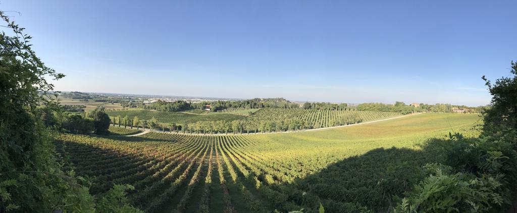 Fattoria Paradiso Бертиноро Екстериор снимка